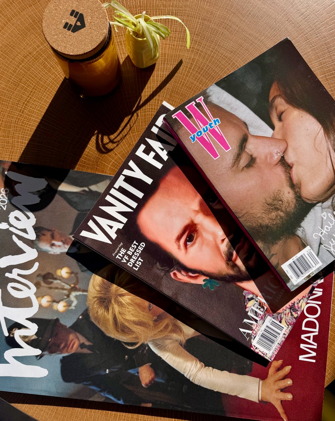 Vanity Fair, Interview and W magazines fanned on a wooden table beside a spider plant
